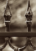 Wall_Art_Alphabet_Photography_Art_ 2261